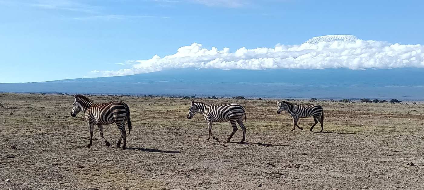 Amboseli & Kili