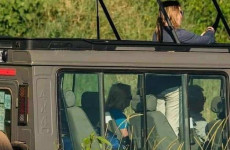 4 Days Serengeti Migration Safari