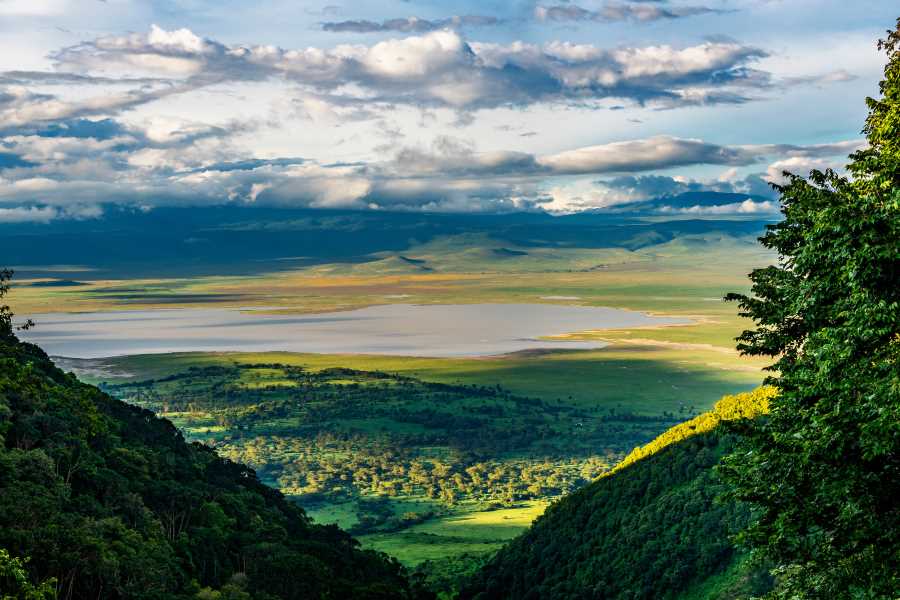 Ngorongoro View