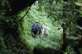 Images (5)