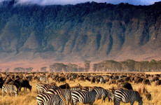2-Day Safari to Ngorongoro Crater