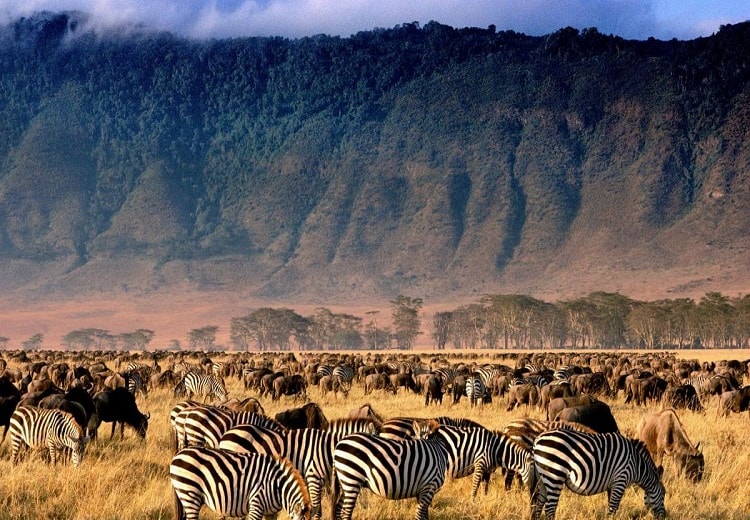 2 Day Ngorongoro Safar Tour