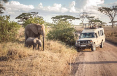 3-Day Tarangire, Ngorongoro & Lake Manyara from Zanzibar