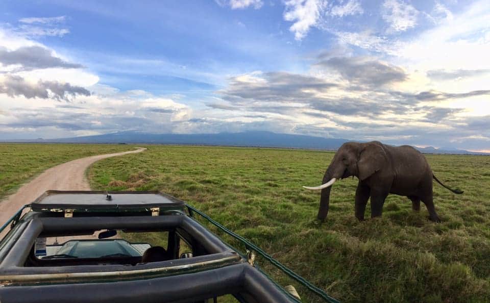 Amboseli National Park 3