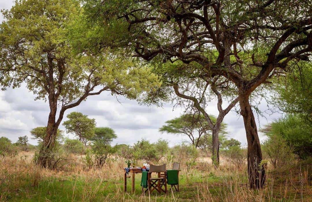Bush Lunch