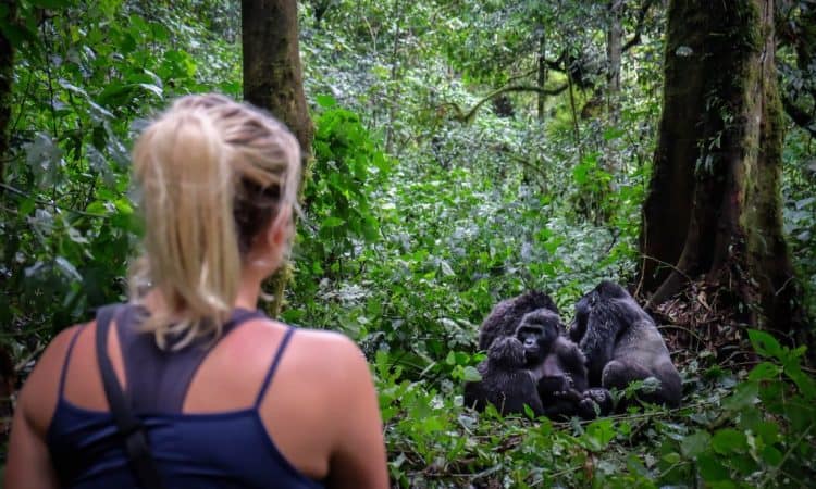 How Difficult Is Gorilla Trekking 750x450