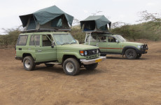 9 Days Great Migration Calving Season