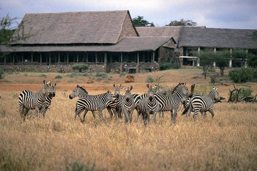 Kilaguni Serena Kilaguni 1 2