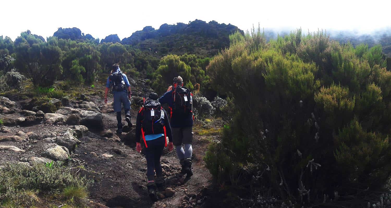 Kili 4