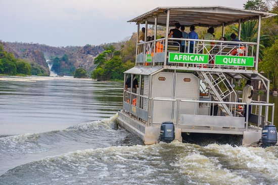 Boat Cruise To The Bottom