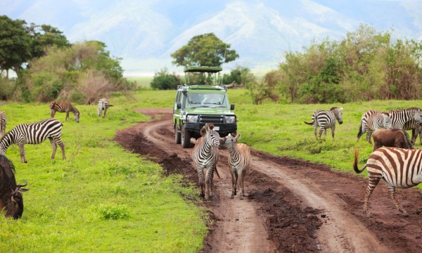 5 Days 4 - nights Tanzania Budget Group Joining Safari