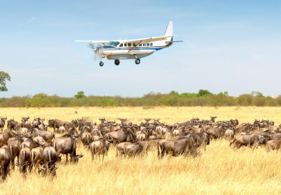 3-Day Direct Fly-in to Serengeti National Park
