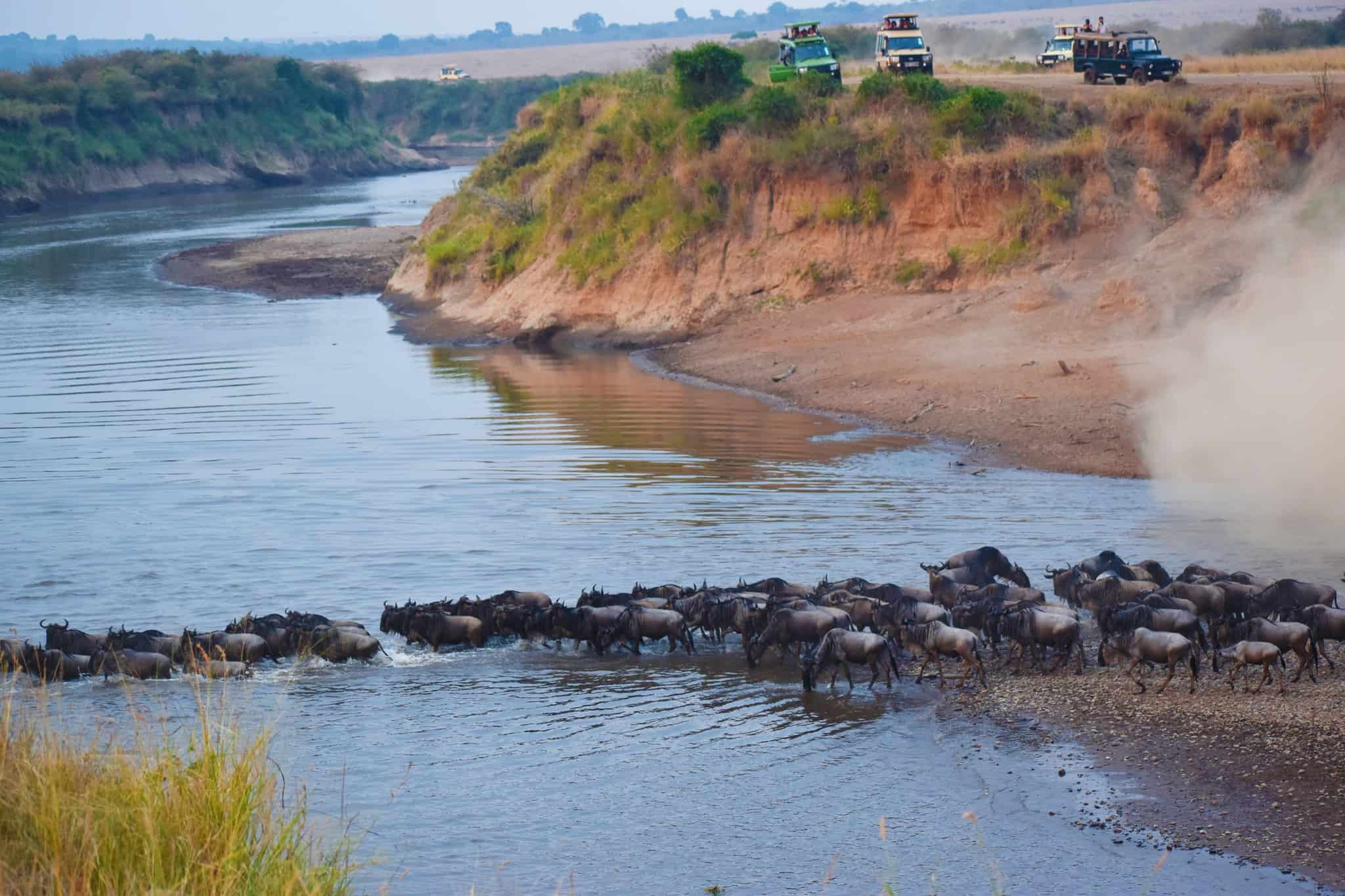 Mara River