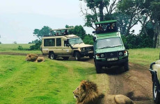 3 Days Nyerere National Park