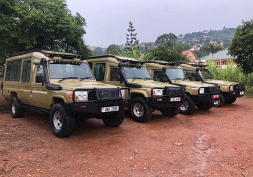 Landcruiser Jeeps