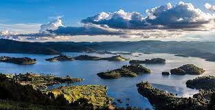 Bunyonyi