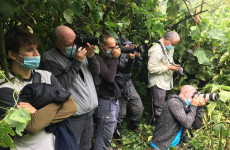 Rwanda-Uganda Voluntourism