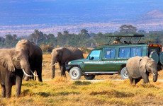 3 Days Serengeti & Ngorongoro Safari