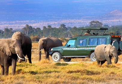 3 Days Serengeti & Ngorongoro Safari