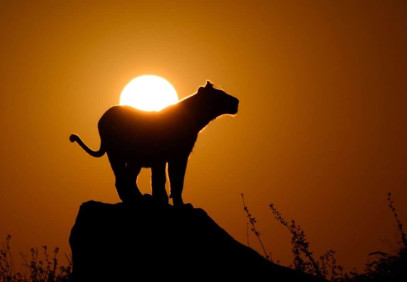 7 Days Serengeti Adventure Safari