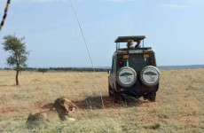 2-Day Mid Range Ngorongoro & Tarangire Safari