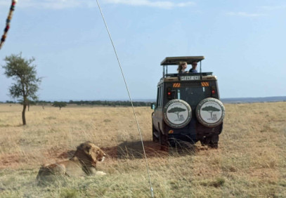 2-Day Mid Range Ngorongoro & Tarangire Safari