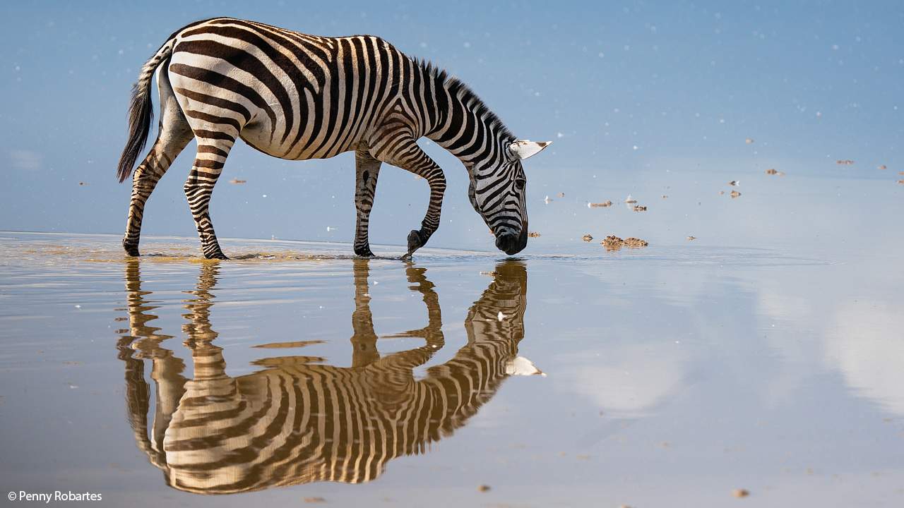 Amboseli Photo Tour