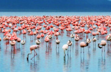 2-Day Lake Manyara & Ngorongoro Camping Tour