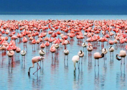 2-Day Lake Manyara & Ngorongoro Camping Tour