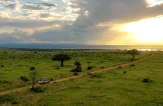 10-Day Epic Uganda Wildlife Safari & Gorilla Trekking