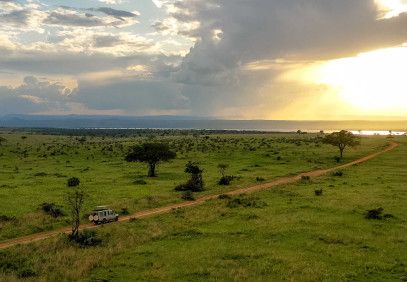 10-Day Epic Uganda Wildlife Safari & Gorilla Trekking