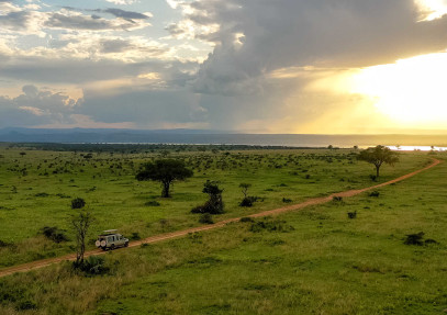 10-Day Epic Uganda Wildlife Safari & Gorilla Trekking
