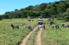 2-Day Lake Manyara and Ngorongoro Crater Safari