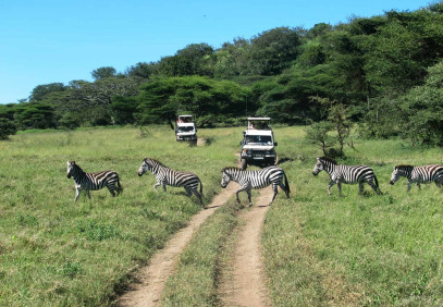 2-Day Lake Manyara and Ngorongoro Crater Safari