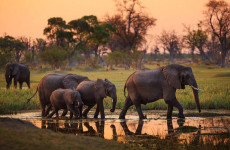 6-Day Camping Highlights of Tanzania