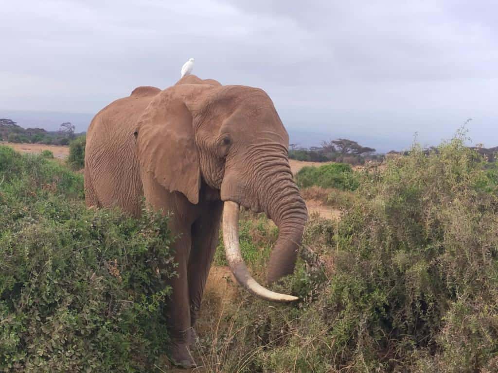 Whatsapp Image 2023 10 26 At 15.48.21 (15)