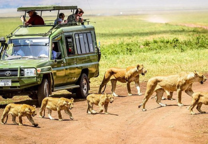 3-Day Serengeti and Ngorongoro Joining Tour