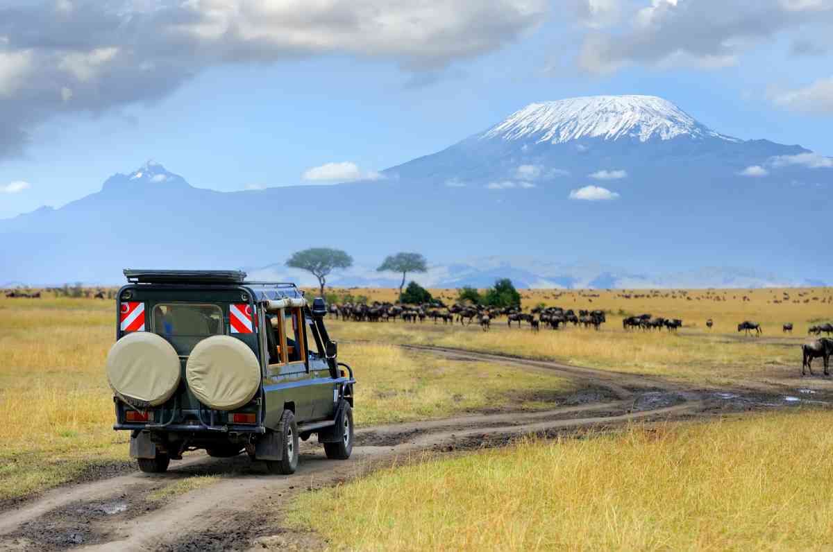 Game Drive In Amboseli
