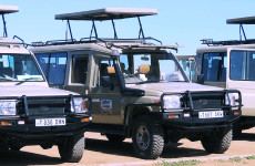 8 Days Safari in North Tanzania
