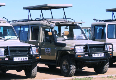 8 Days Safari in North Tanzania