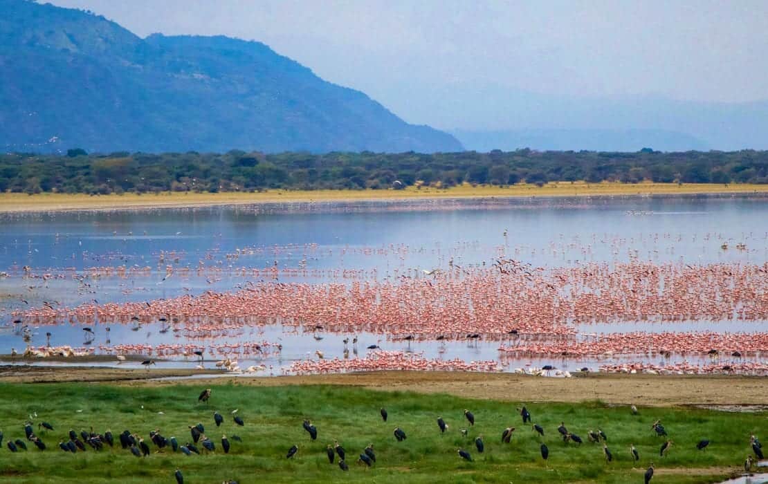 Lake Manyara 1 1110x700