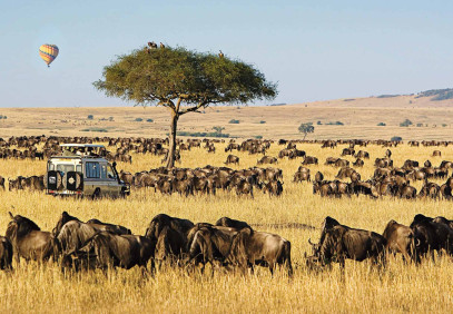 3-Day Masai Mara Budget Sharing Safari
