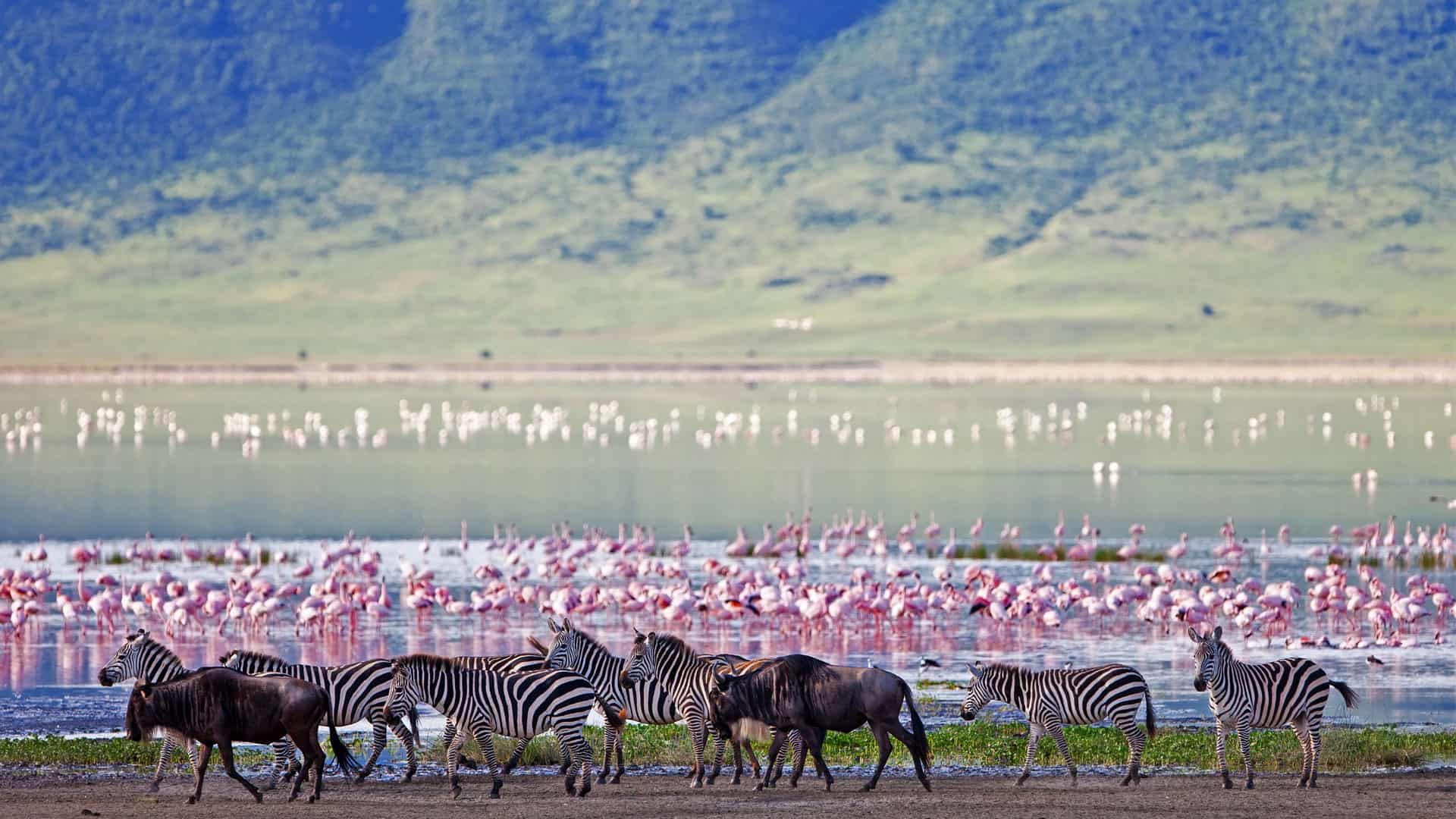 Ngorongoro Crater Floor Sarafu Travel