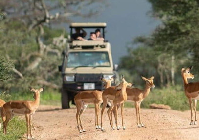 6 Days Tanzania Safari | Best for Serengeti Migration Adventure