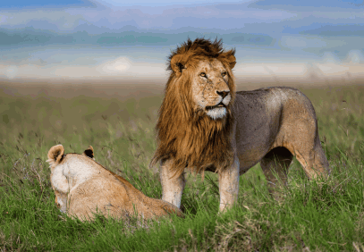 2-Day Tanzania Budget Camping Safari