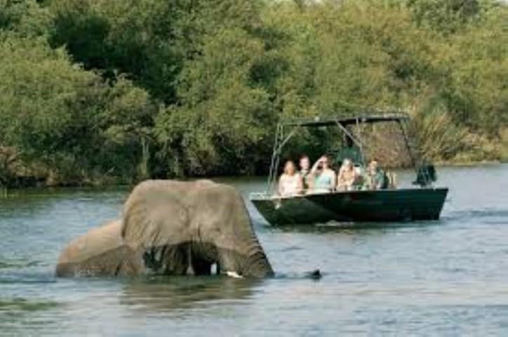 Zambezi Sunset Cruise Jpg