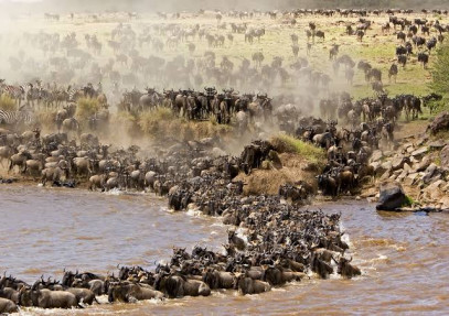 5 Days Serengeti Wildebeest Migration