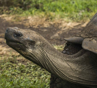 7-Day Galapagos Essentials