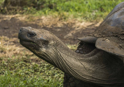 7-Day Galapagos Essentials