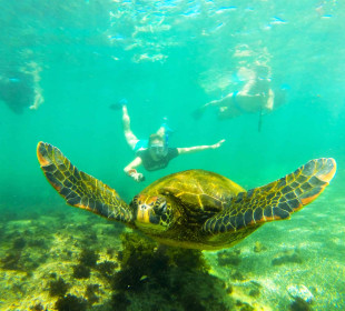 12-Day The Best of Ecuador and Galapagos